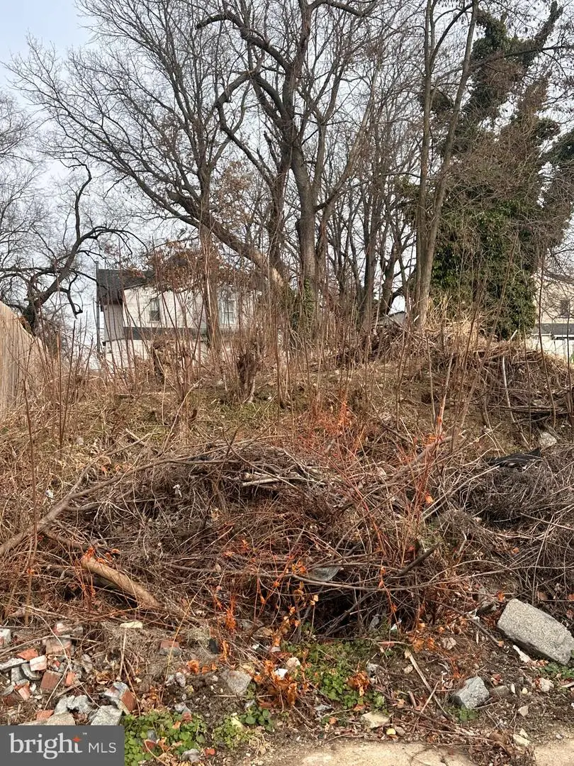 1226 N Bergen Ave, Camden, NJ 08105 - #2