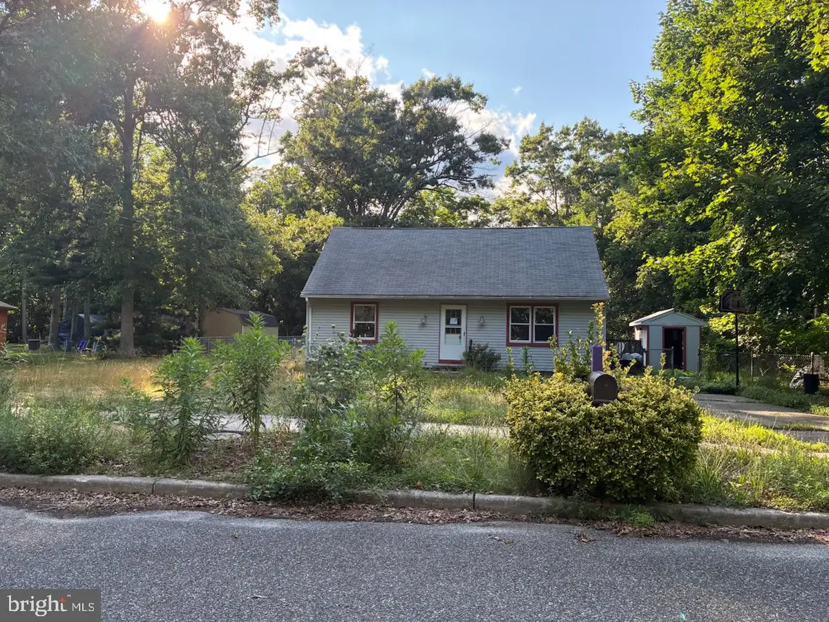 612 Isaacs Ave, Woodbine, NJ 08270 - #1