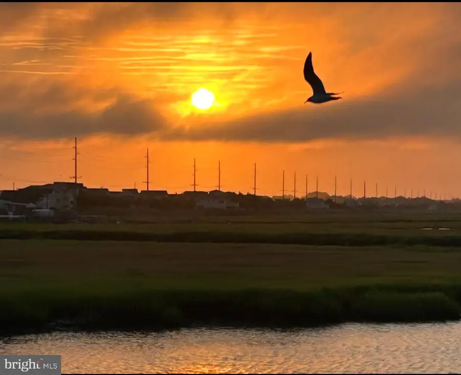 1002 Stone Harbor Blvd, Stone Harbor, NJ 08247 - #2