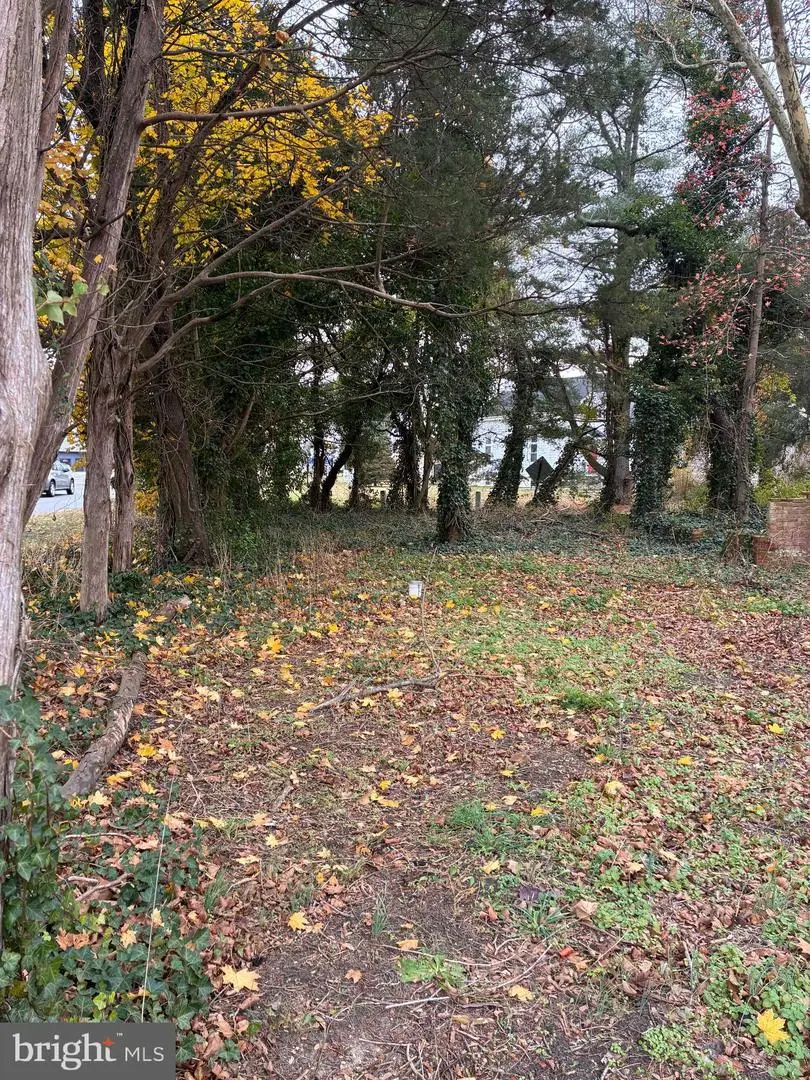 3485 Harding Hwy, Newfield, NJ 08344 - #3