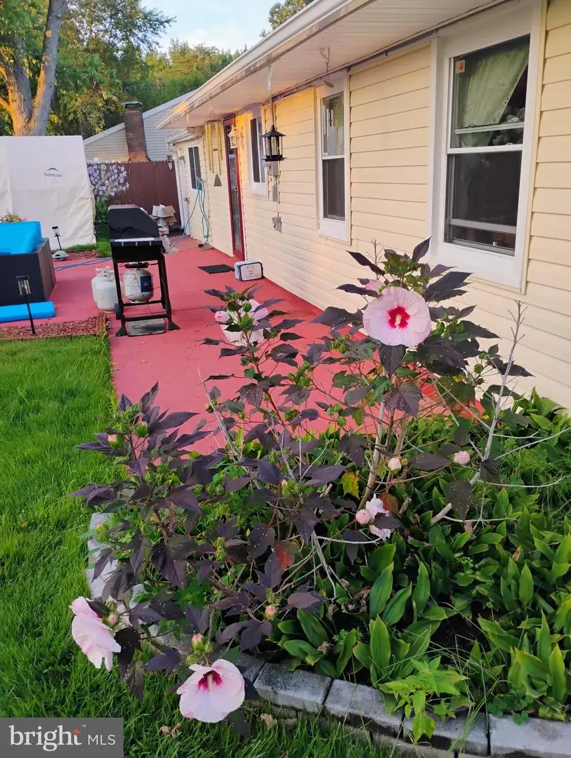 252 N Dennis Dr, Clayton, NJ 08312 - #3