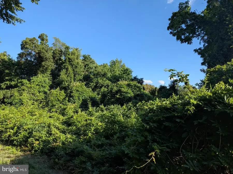 206 Churchill Way, Mullica Hill, NJ 08062 - #3
