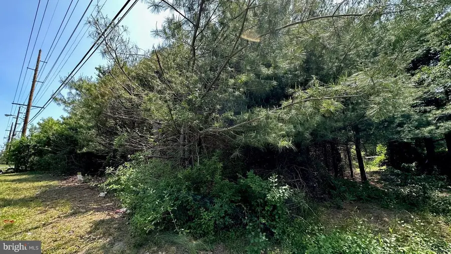 0 Piney Hollow Rd, Monroe, NJ 08094 - #3