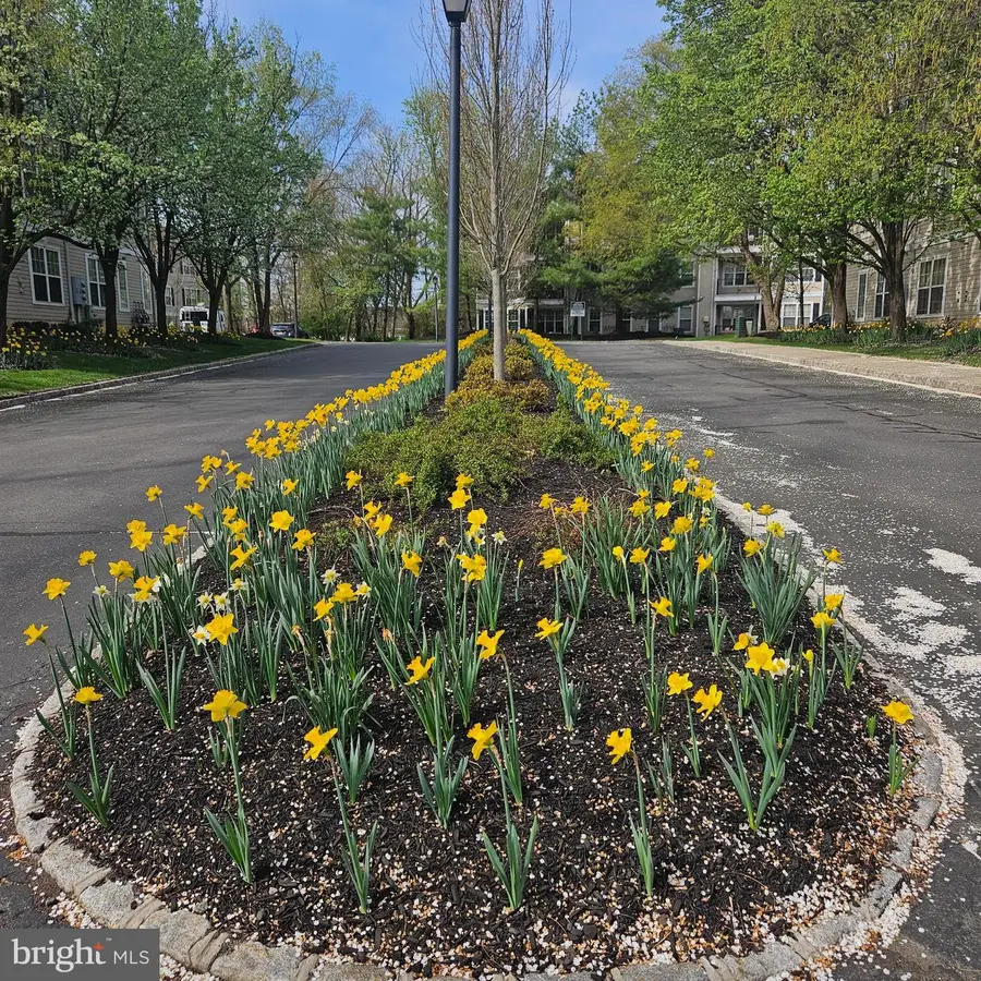 74 Kyle Way, Trenton, NJ 08628 - #2