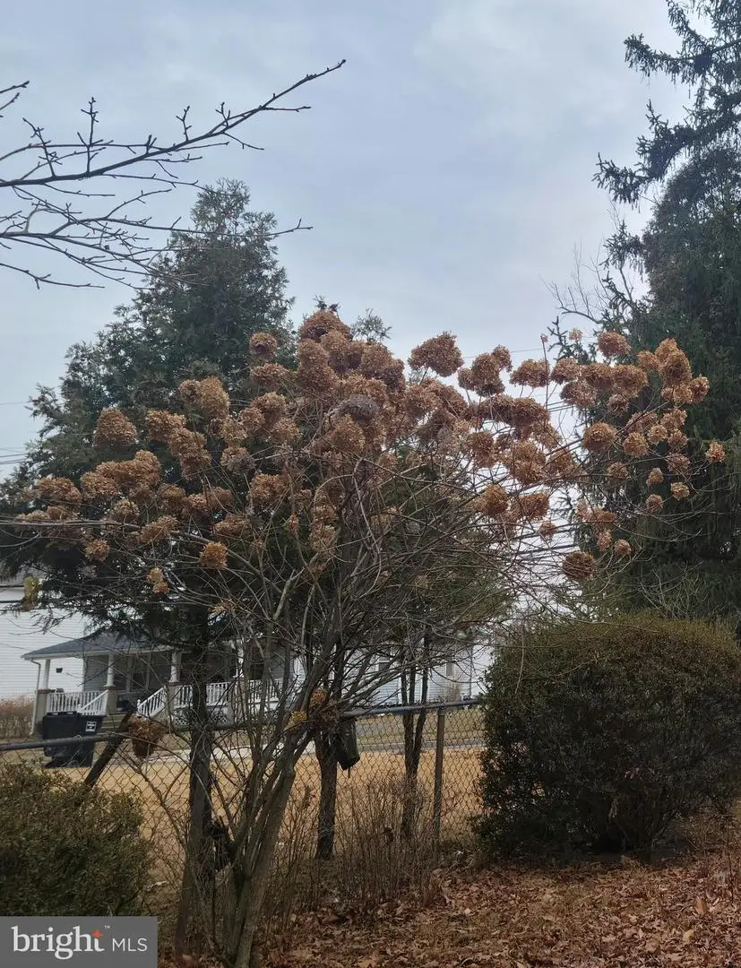 370 Eggerts Crossing Rd, Lawrenceville, NJ 08648 - Image #2