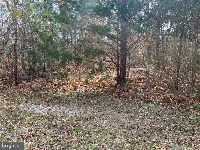 68 Memorial Dr, Barnegat, NJ 08005 - Image #3