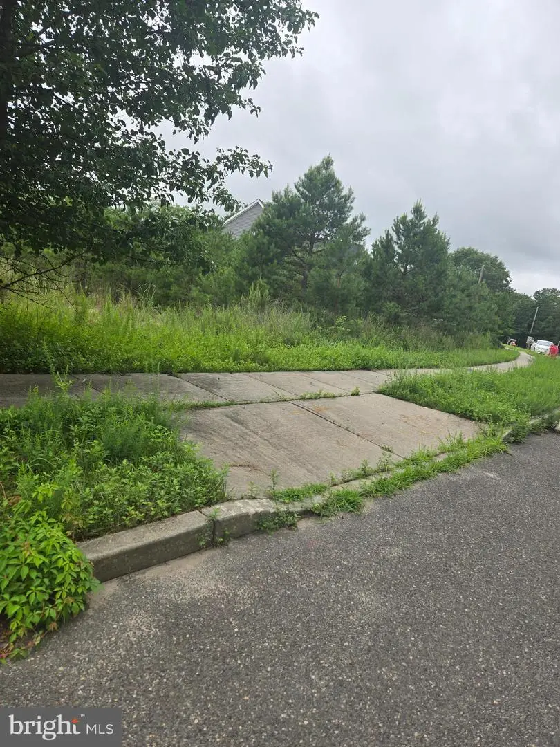 159 Littleworth Rd, Manahawkin, NJ 08050 - Image #2