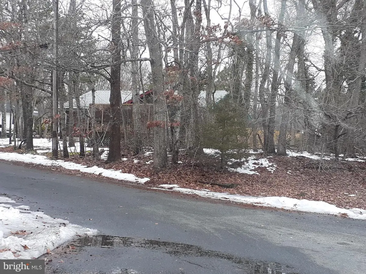 3 Demaret Ct, Little Egg Harbor, NJ 08087 - #1