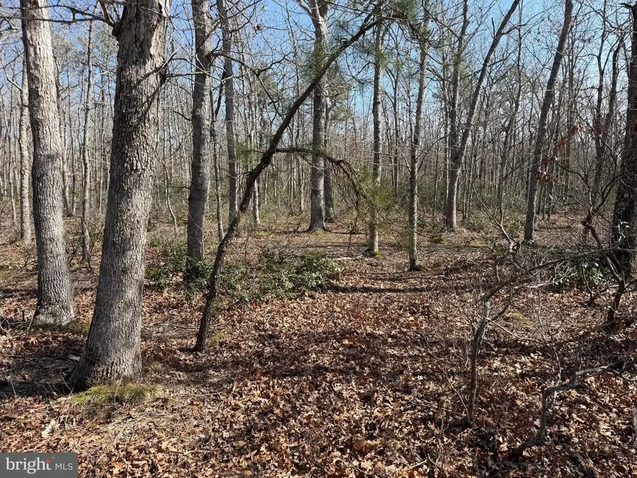 0 Cedar Bridge Rd, Barnegat, NJ 08005 - #2