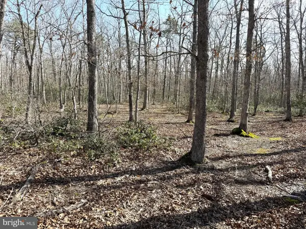 0 Birchwood, TUCKERTON, NJ 08087