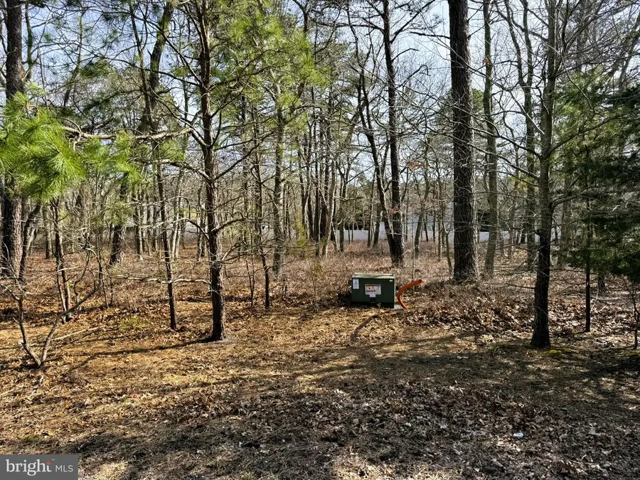 17 Pinewood Dr, Little Egg Harbor, NJ 08087 - #3