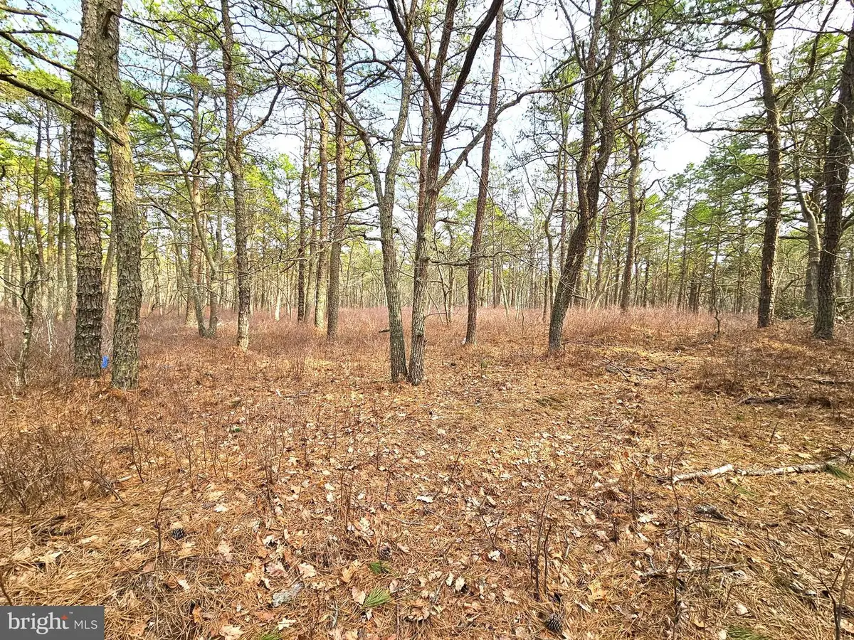 22 Pinewood Dr, Little Egg Harbor, NJ 08087 - #1