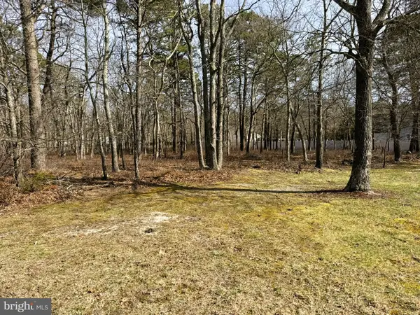 17 Birchwood Dr, TUCKERTON, NJ 08087