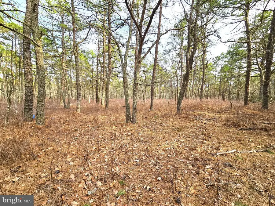 17 Birchwood Dr, Tuckerton, NJ 08087 - #2