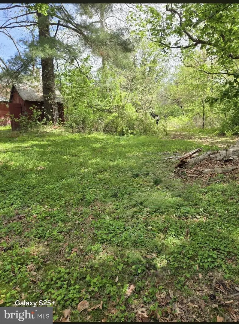 416 Watsons Mill Rd, Elmer, NJ 08318 - #3