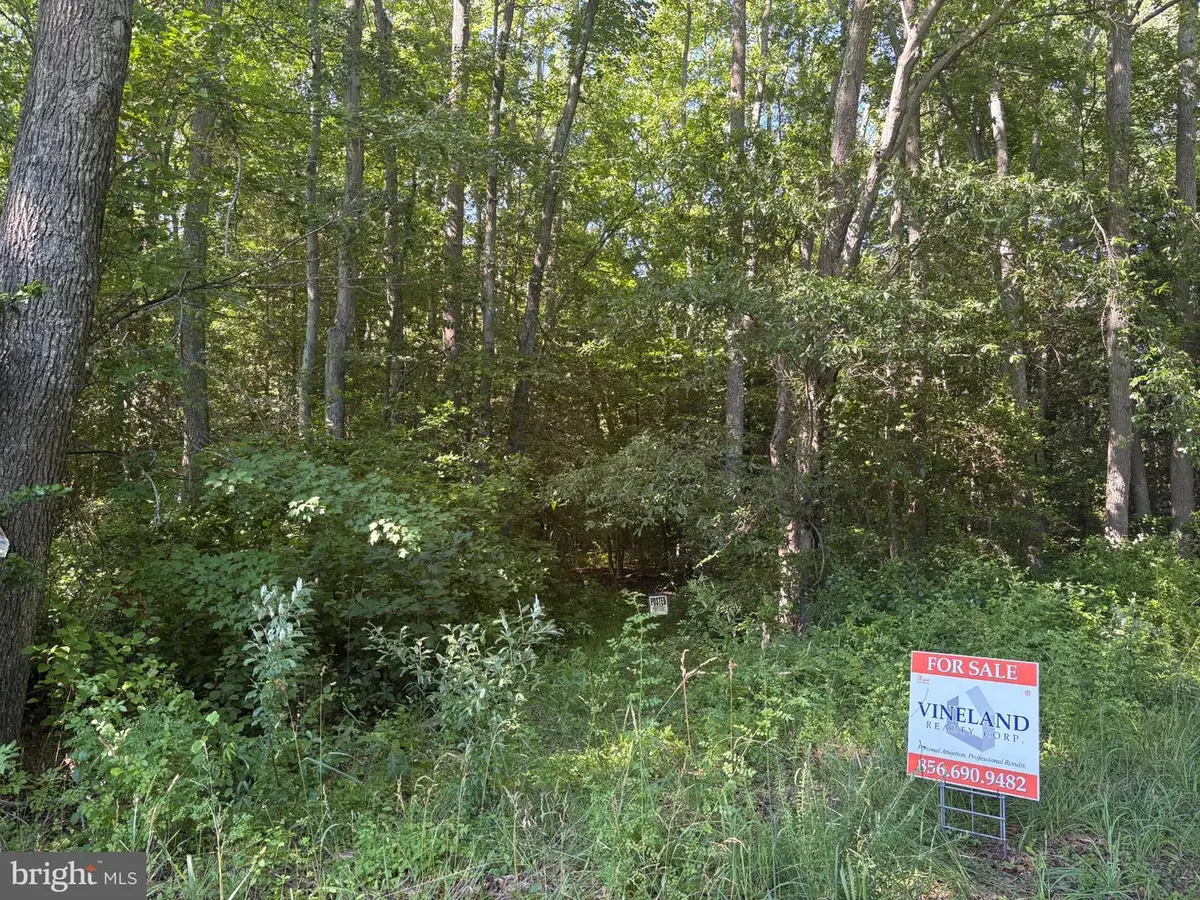 0 Mill Pond Road, Hancocks Bridge, NJ 08038 - #1