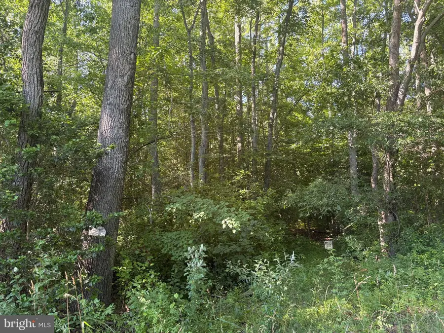 0 Mill Pond Road, Hancocks Bridge, NJ 08038 - #2