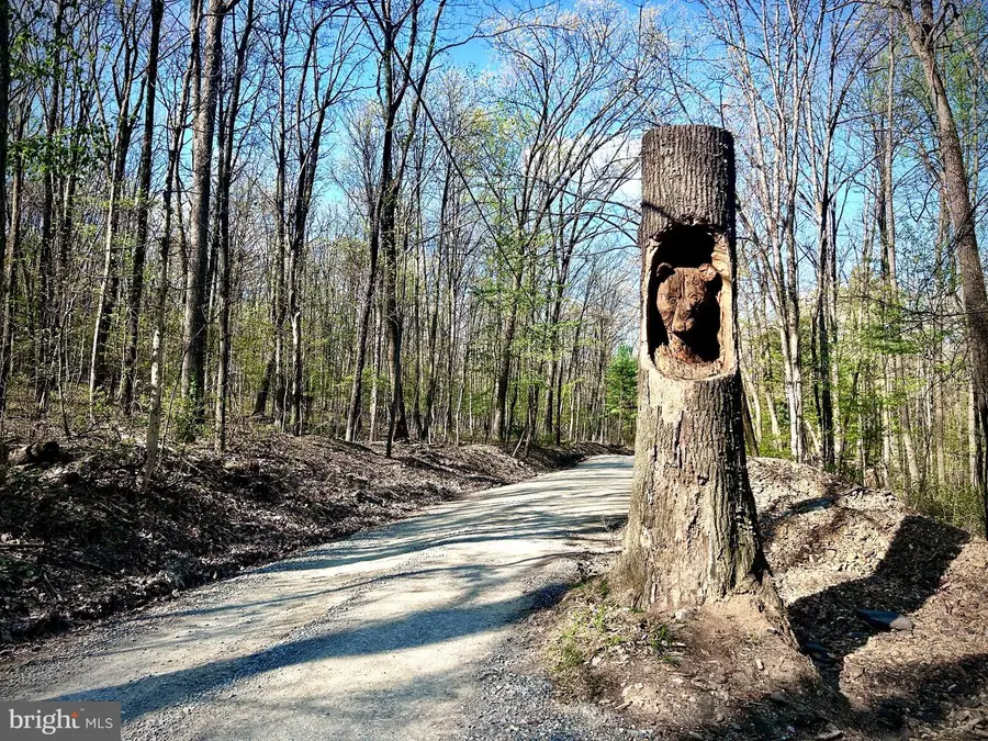 0-lot #46 Maryland Ave, Aspers, PA 17304 - #2