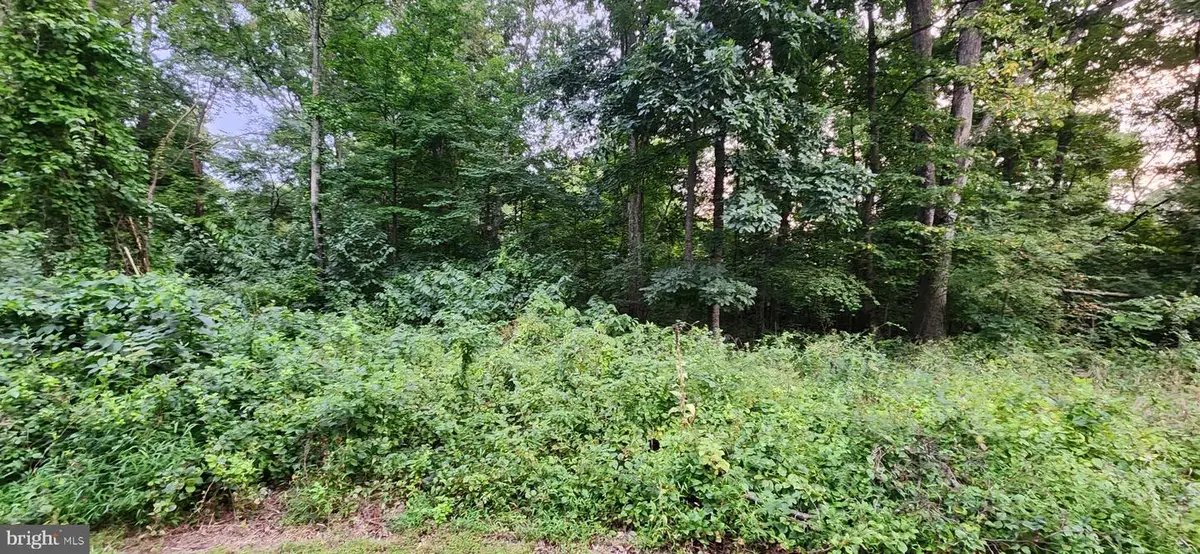 25 Freedom Trl Trl, Fairfield, PA 17320 - #1