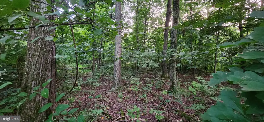 25 Freedom Trl Trl, Fairfield, PA 17320 - #3