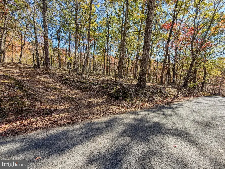 Adj 157 Thomas Rd, Alum Bank, PA 15521 - Image #3