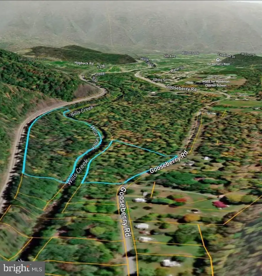 000 Gooseberry Road, Hyndman, PA 15545 - Image #3