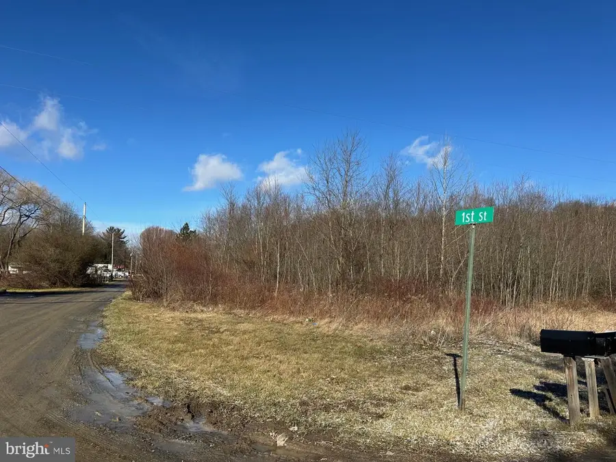 124 1st St #2 Lots, New Paris, PA 15554 - #2