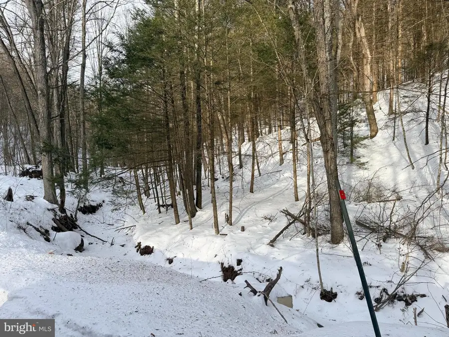 132 Ac Polecat Hollow Rd, Hopewell, PA 16650 - #2