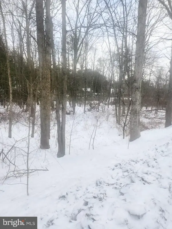 Brush Creek Rd, BREEZEWOOD, PA 15533