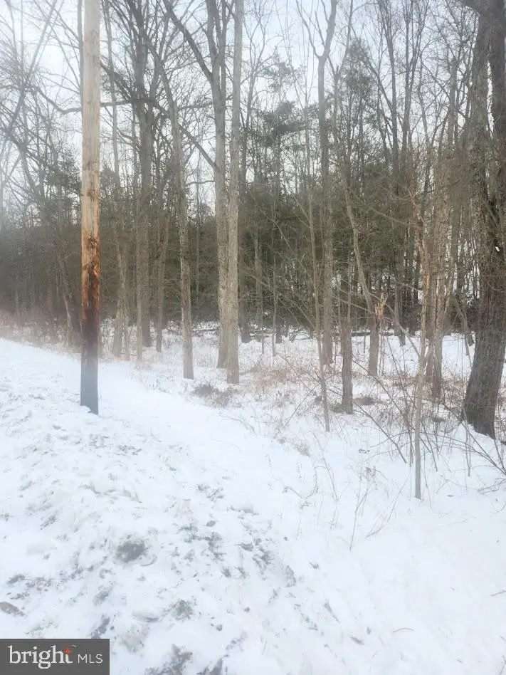 Brush Creek Rd, Breezewood, PA 15533 - #3