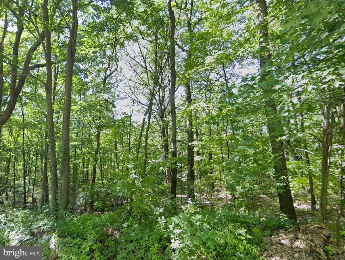 00 Weavers Wood Rd, Saxton, PA 16678 - #1