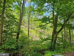 Tiger Valley Rd, Hyndman, PA 15545 - #2
