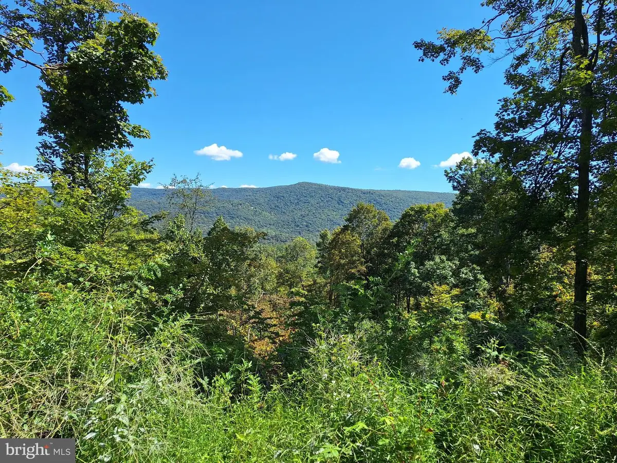 Tiger Valley Rd, Hyndman, PA 15545 - #1