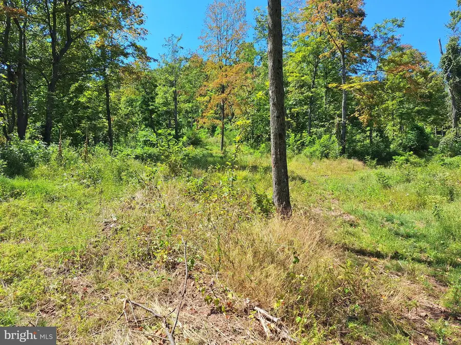 Tiger Valley Rd, Hyndman, PA 15545 - #2
