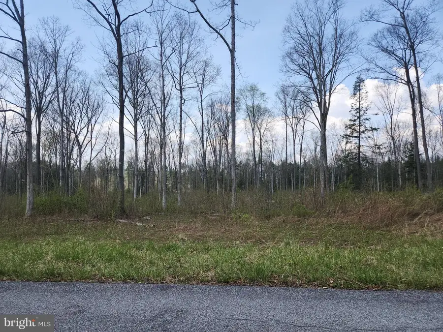 Lot 3 Fickes Road, Imler, PA 16655 - #3