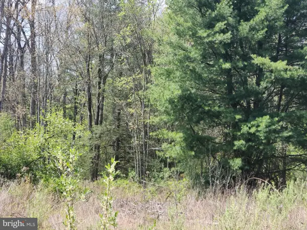 Lot 5 Fickes Rd, IMLER, PA 16655