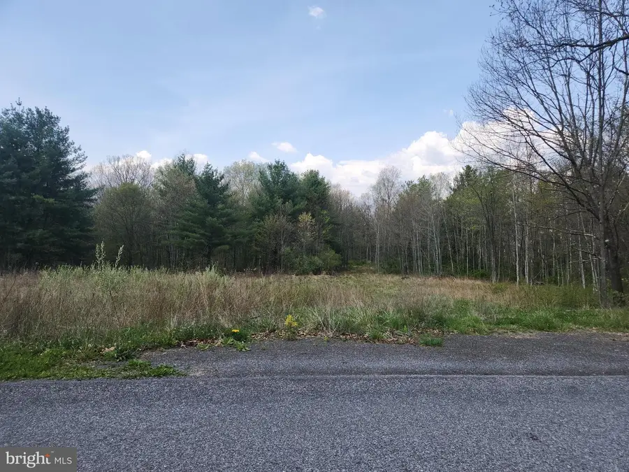 Lot 5 Fickes Rd, Imler, PA 16655 - #3