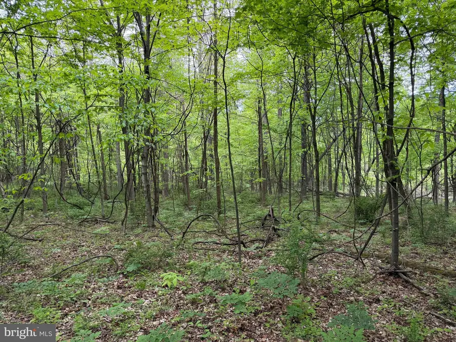 42ac Main Road, Bedford, PA 15522 - #2