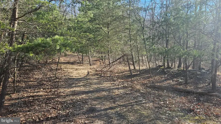 00 Tiger Valley Rd, Hyndman, PA 15545 - #3