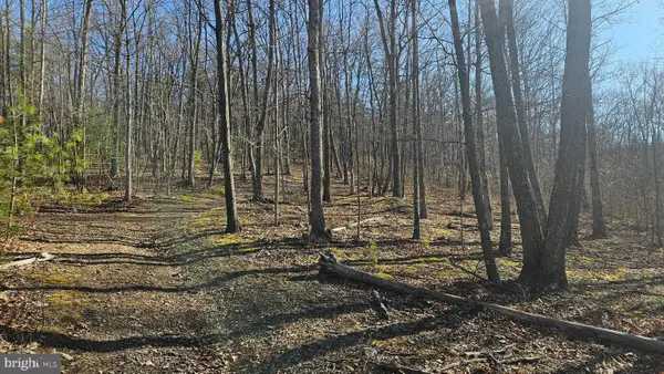 00 Piney Creek Rd, CLEARVILLE, PA 15535