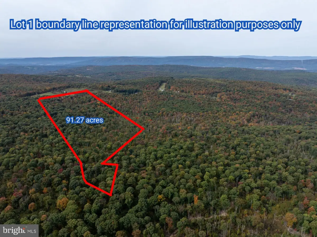 Lot 1 Dudley Rd, Six Mile Run, PA 16679 - #1