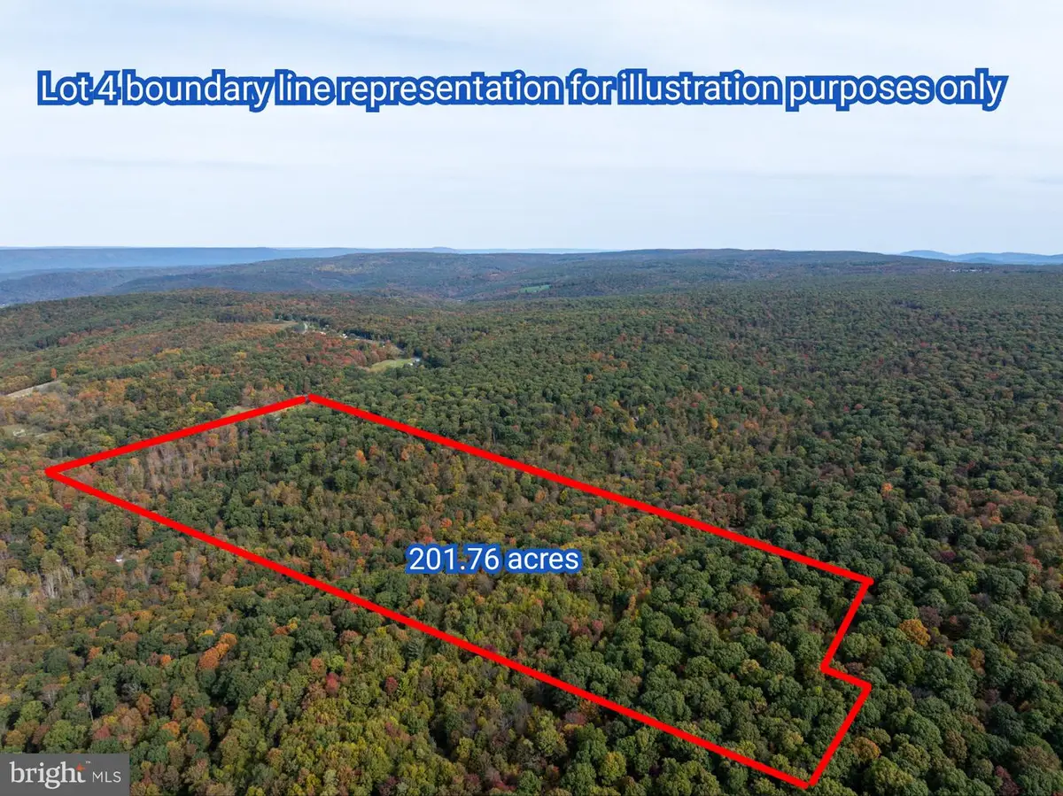 Lot 4 Dudley Rd, Six Mile Run, PA 16679 - #1