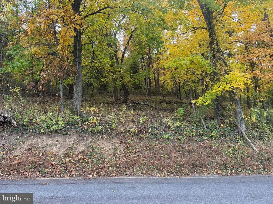 0 Mccoy Ln, Leesport, PA 19533 - Image #2