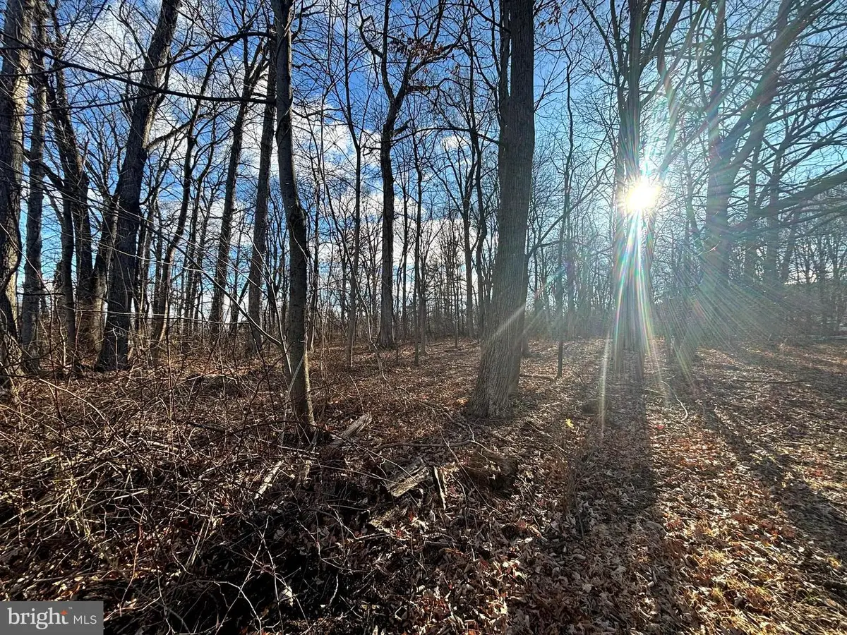 State St, Mertztown, PA 19539 - #1