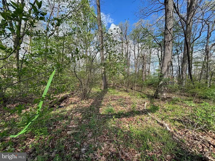 State St, Mertztown, PA 19539 - #3