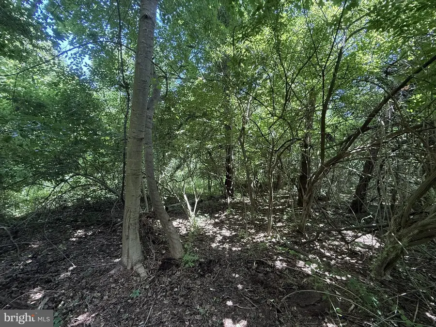4750 Morgantown Rd, Mohnton, PA 19540 - #3
