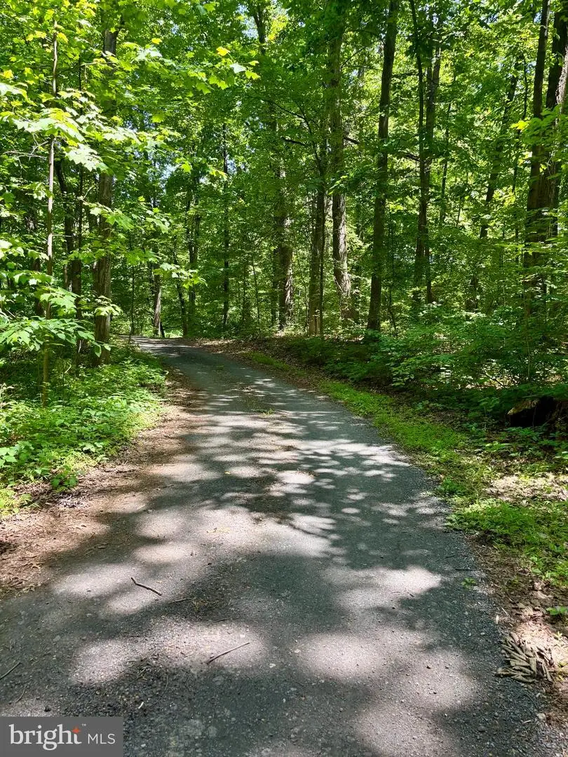 Tower Rd, Mertztown, PA 19539 - #3