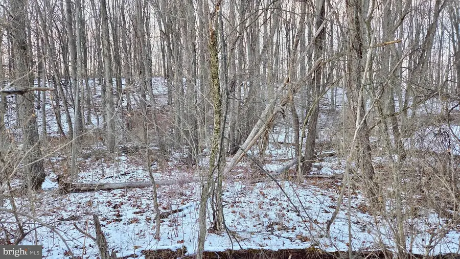 Foxglove Rd, Altoona, PA 16601 - #3