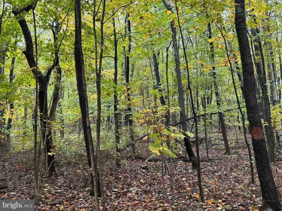 0 Weyant Farm Lane, Claysburg, PA 16625 - Image #2