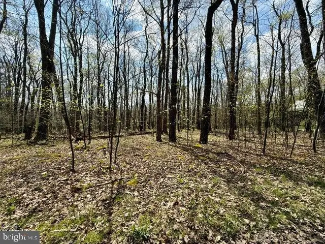Lot 13 Timerman Rd, Claysburg, PA 16625 - #1